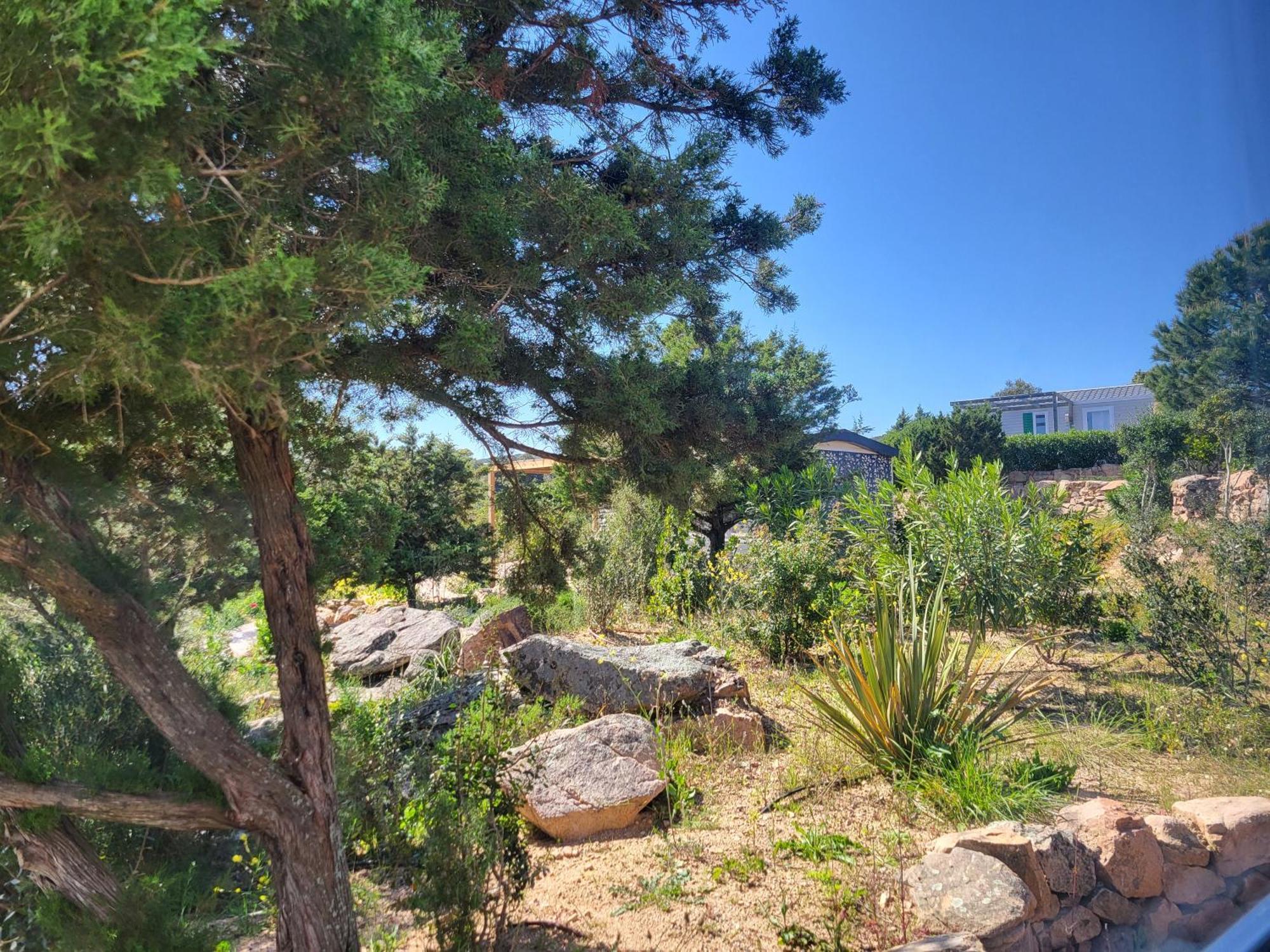 Camping Rondinara Bonifacio  Exteriér fotografie